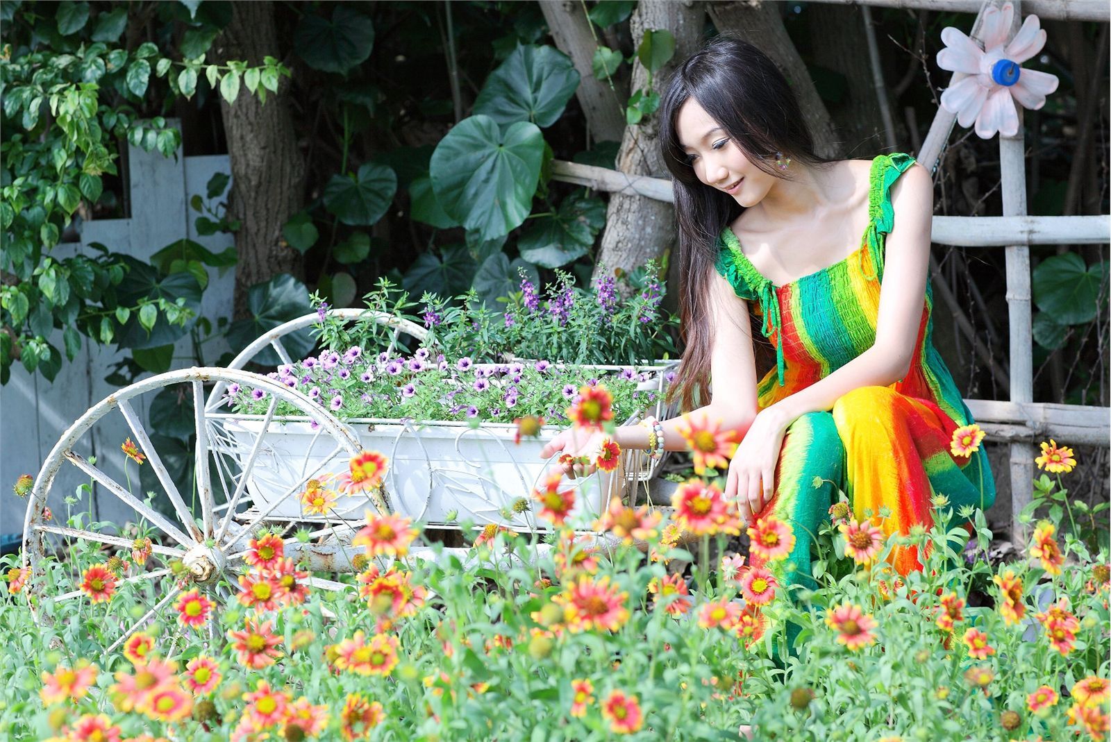 鄰家有女初長成 beautyleg系列高清美女图片